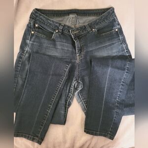 Jennifer Lopez Blue‎ Skinny Mid Rise Jeans (Size 10L)